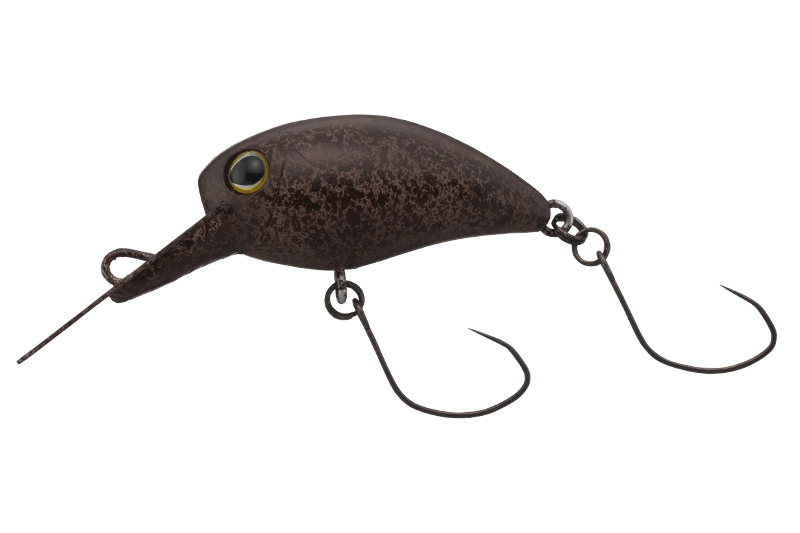 Timon KIBIPANI MR-SS TACKEY BROWN