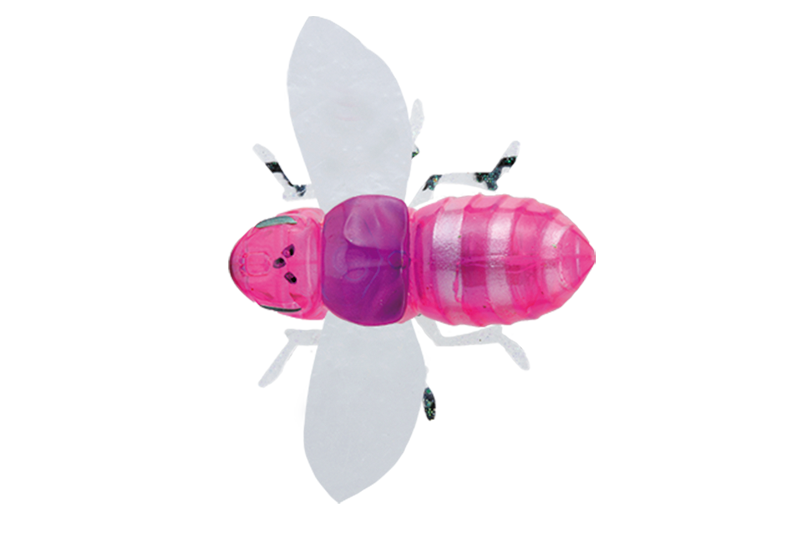 BUGDOG