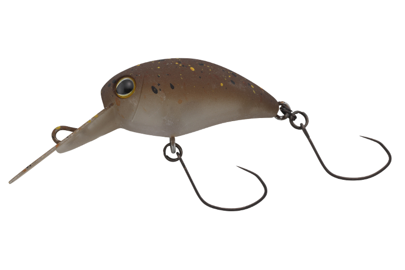 Timon KIBIPANI MR-SS ENDO GLOW PELLE BROWN