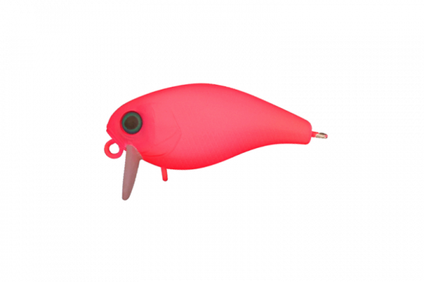 CHUBBY 38 - Фото3