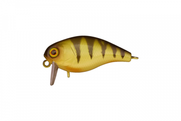 CHUBBY 38 - Фото0