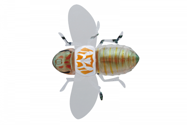 BUGDOG - Фото1331