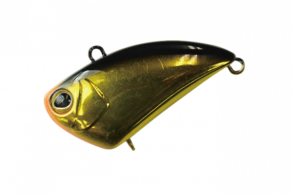 Timon TAP DANCER - Фото1