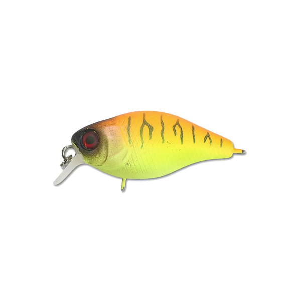 CHUBBY 38 - Фото5