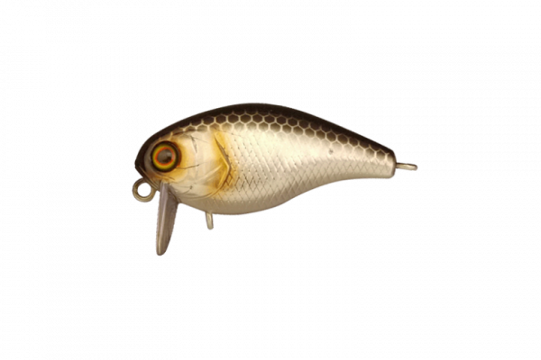 CHUBBY 38 - Фото1